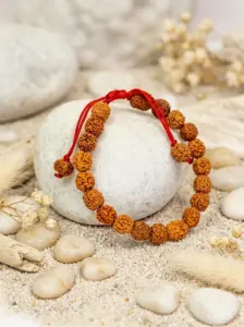 5 Mukhi Spiritual Rudraksha Bracelet